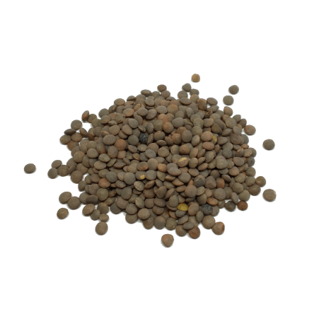 DILISTA - 1kg. - Tierra, papel y tijera