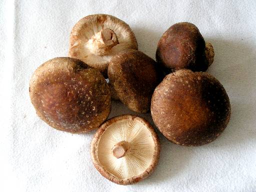 SHIITAKE FRESKOA - 200 gr.- Delika2