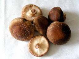[ELI_442] SHIITAKE FRESKOA - 200 gr.- Delika2